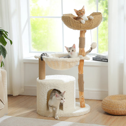 Chats installés dans le panier en osier et la niche de l'arbre à chat