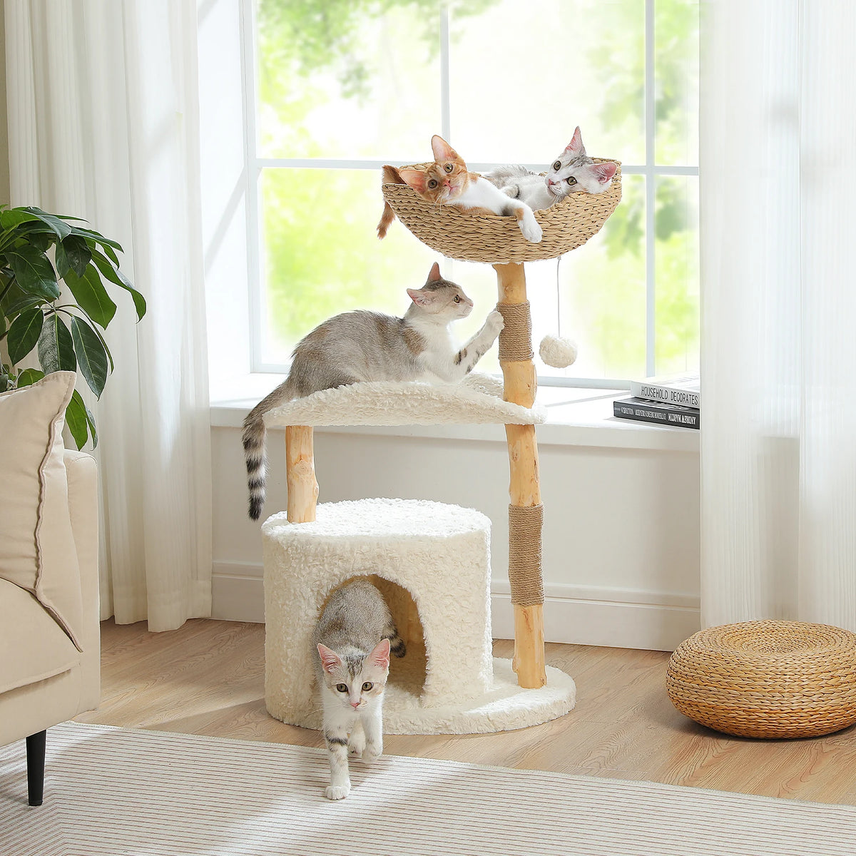 Arbre à chat en bois massif avec panier en osier, près d'une fenêtre