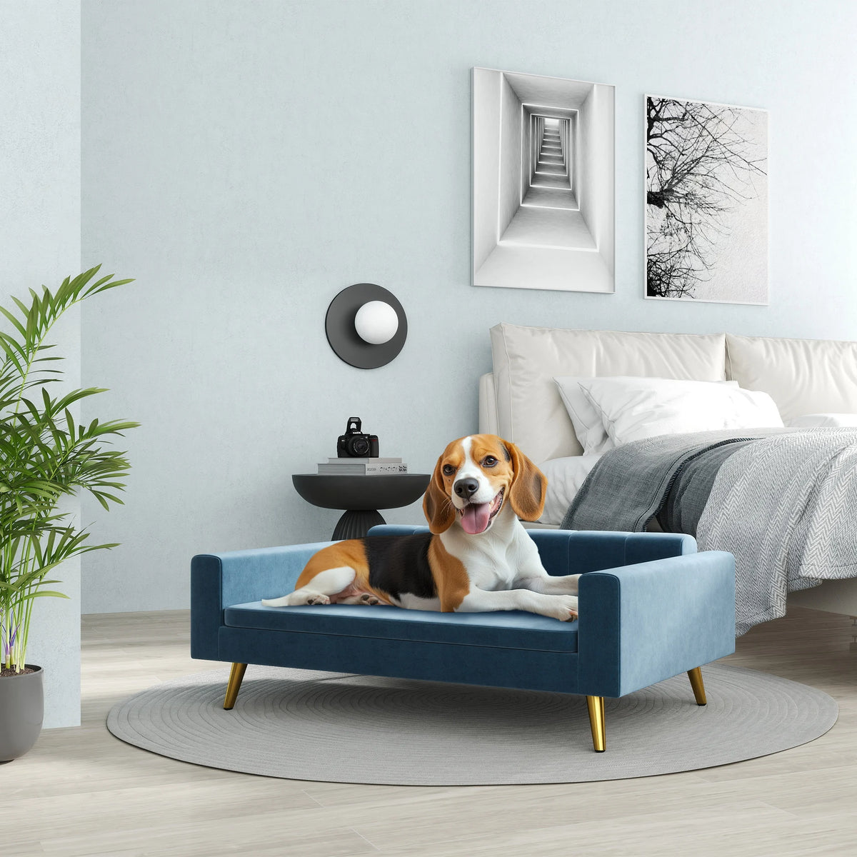 Canapé pour chien en velours bleu dans une chambre claire