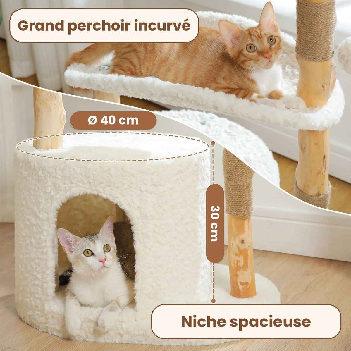 Grand perchoir incurvé et niche spacieuse de 40 cm