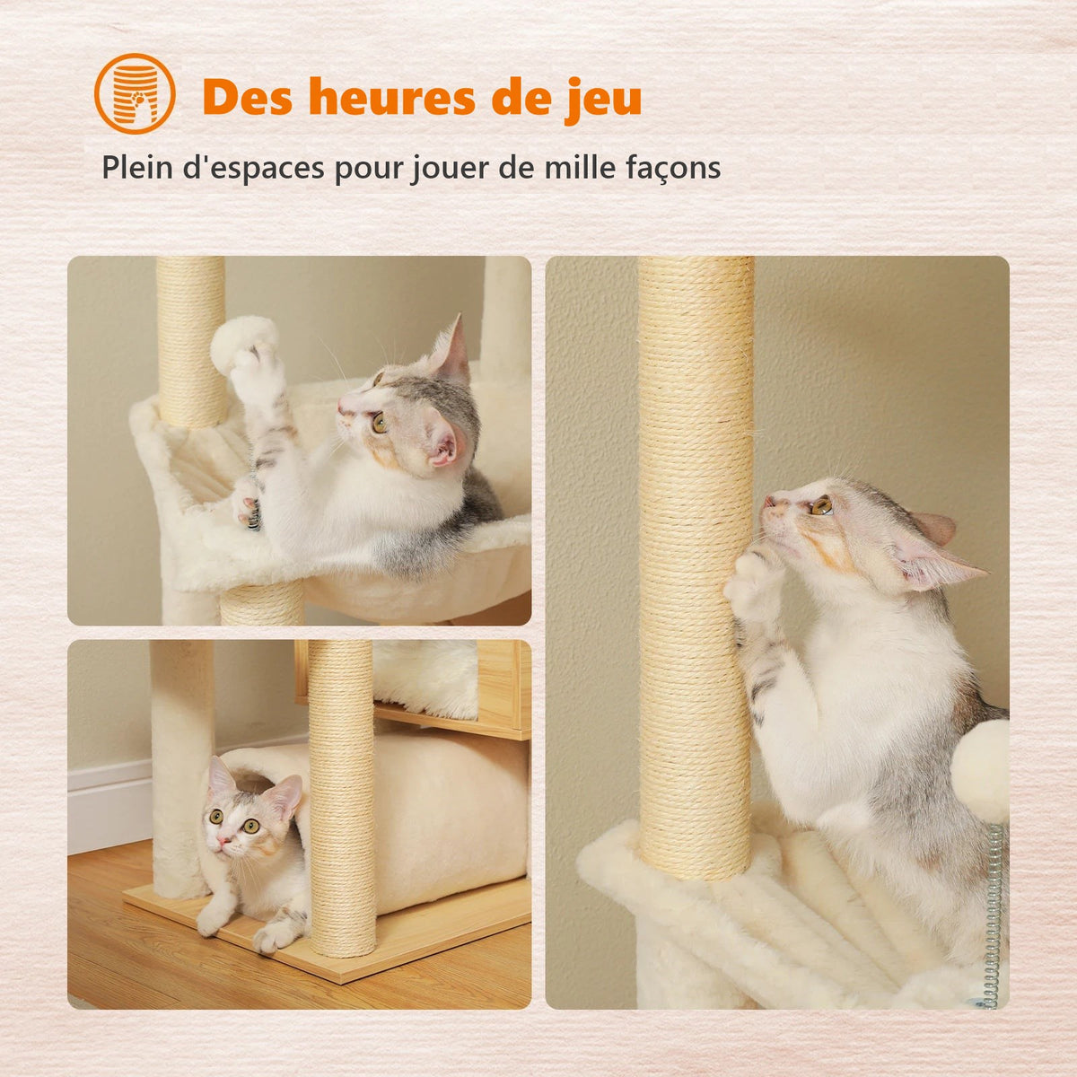 Arbre à chat : des heures de jeu