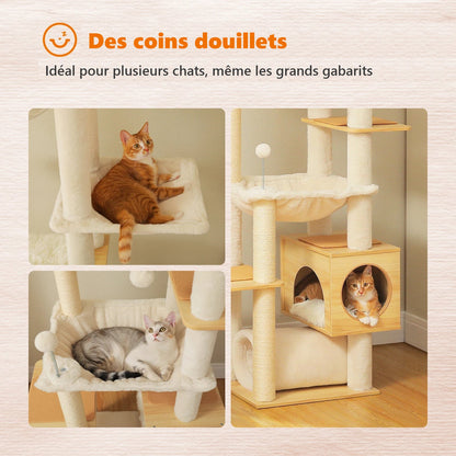 Arbre à chat : des coins douillets pour plusieurs chats