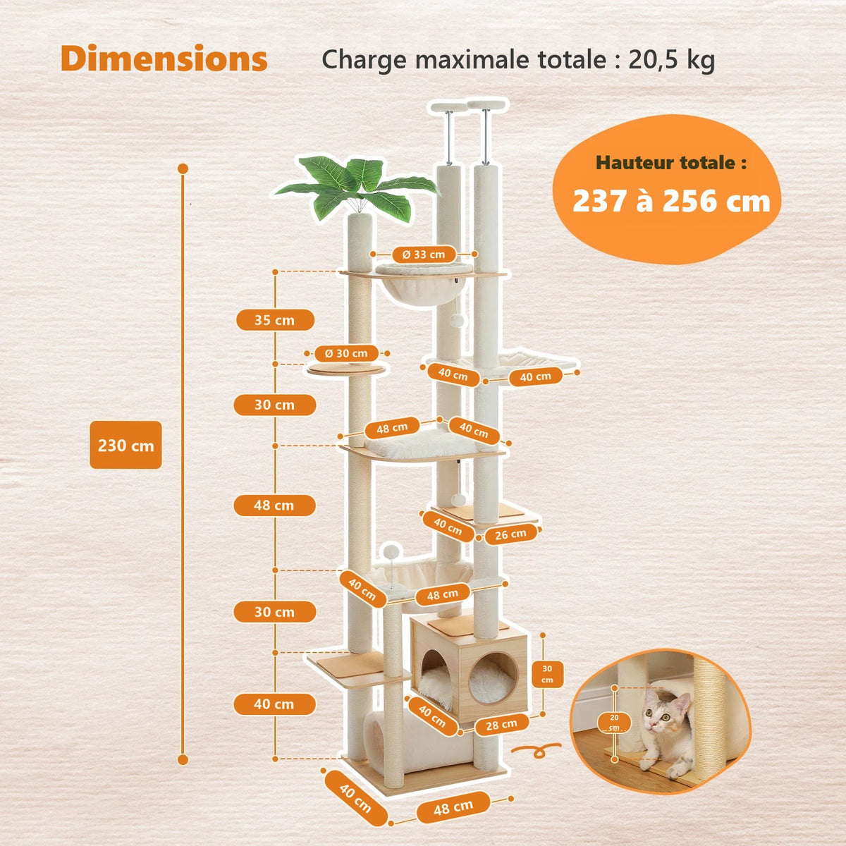 Dimensions de l'arbre à chat, hauteur 237 à 256 cm
